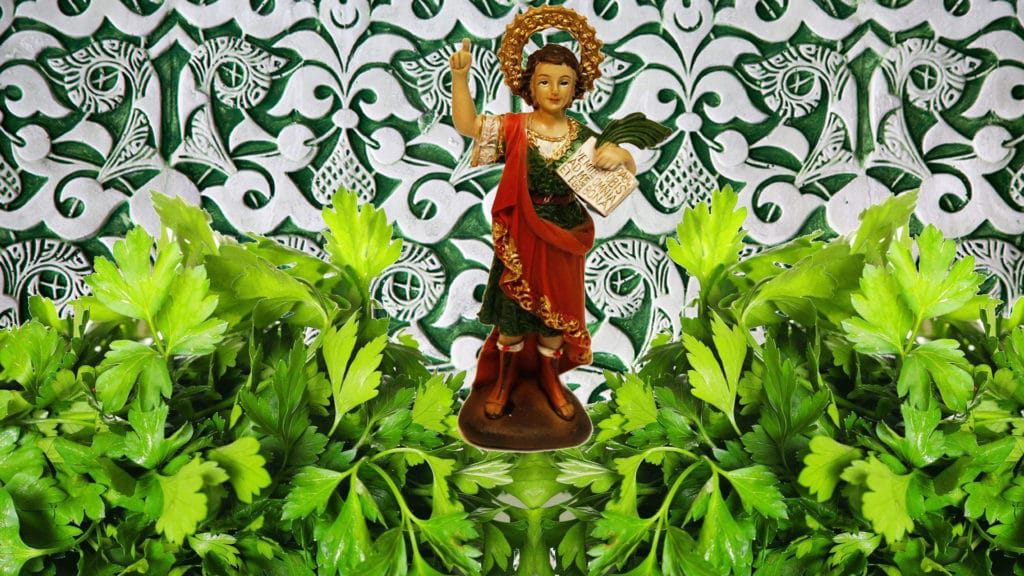Oraciones a San Pancracio
