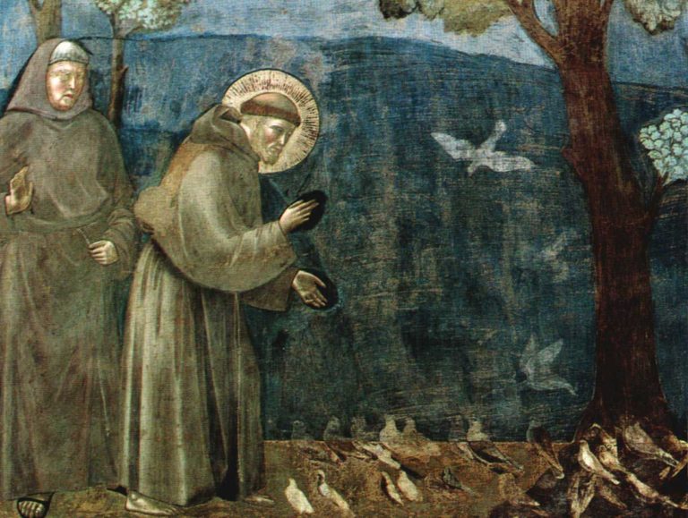 ORACIÓN A SAN FRANCISCO DE ASÍS POR LOS ANIMALES PERDIDOS