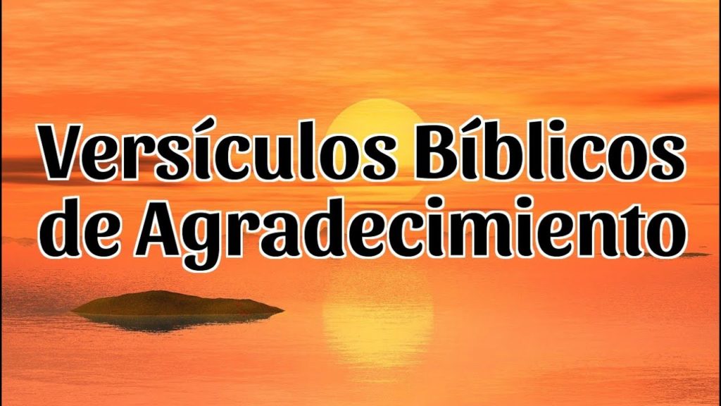 TEXTOS BÍBLICOS PARA PASTORES
