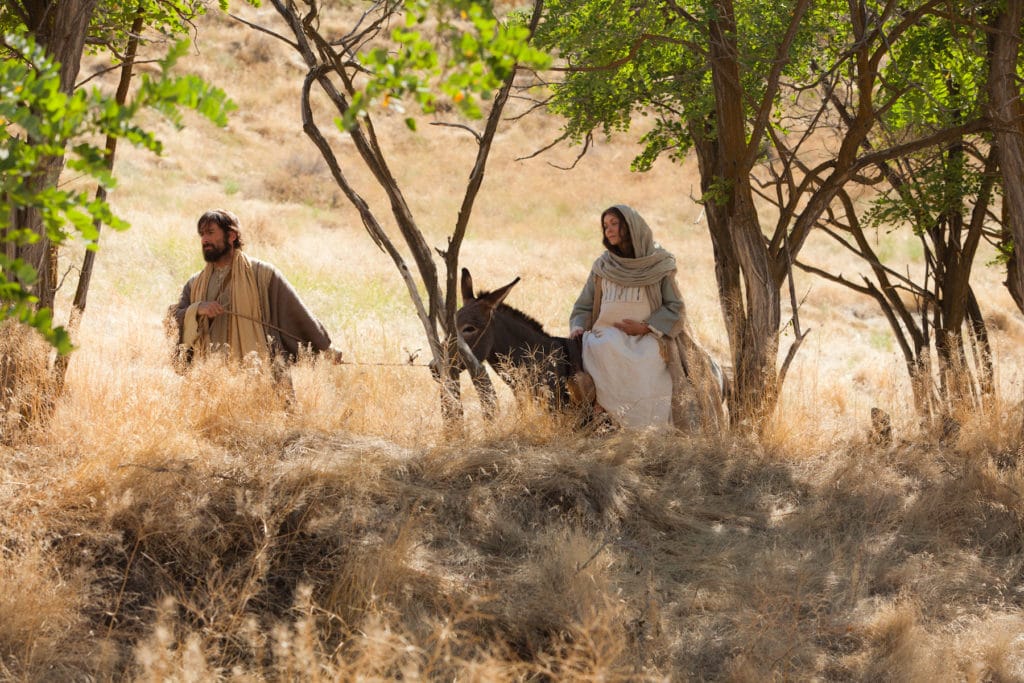 ORACIÓN A SAN JOSÉ