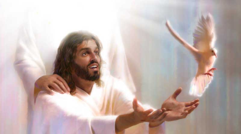 Novena al Espíritu Santo