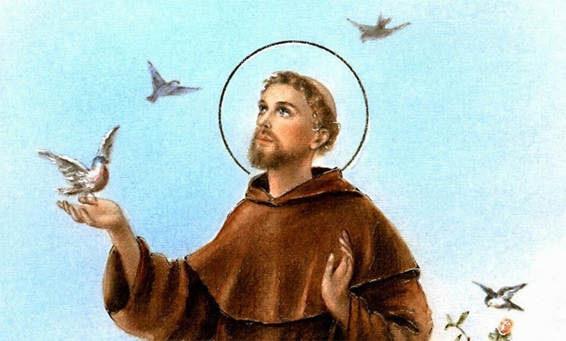 frases de san francisco de asís